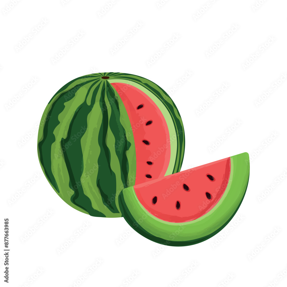 Colorful ripe watermelon and a juicy slice of watermelon in white background. Design for watermelon lovers, vegetarian café, fruit farm, Watermelon Day. Vector illustration of flat fresh fruit EPS10 Colorful ripe watermelon and a juicy slice of watermelon in white background. Design for watermelon lovers, vegetarian café, fruit farm, Watermelon Day. Vector illustration of flat fresh fruit EPS10