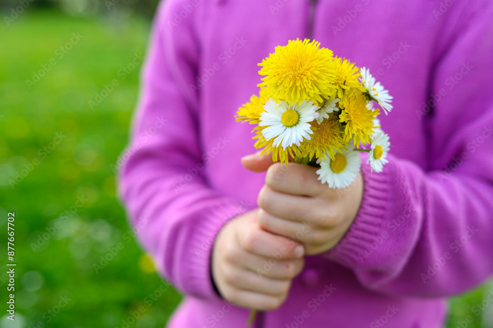 Φωτογραφία A little girl dressed in purple holding a small posy of freshly picked dandelions and daisies in her hands