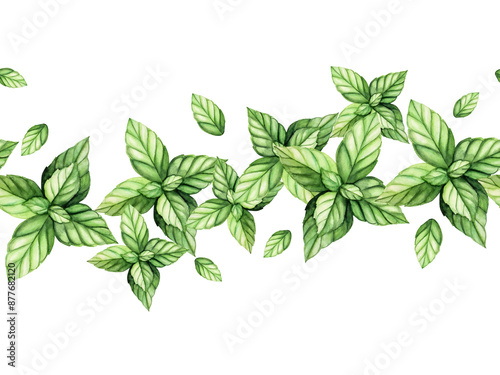 Seamless border, banner, template with fresh green mint. Hand painting peppermint leaves, botanical watercolor illustration isolated on background. For designers, menu, shop, decoration, restaura