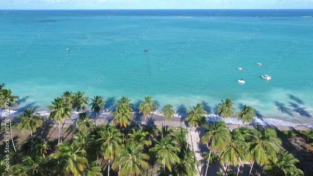 Aerial view of Ponta do Mangue Beach - Maragogi, Alagoas, Brazil Aerial view of Ponta do Mangue Beach - Maragogi, Alagoas, Brazil
