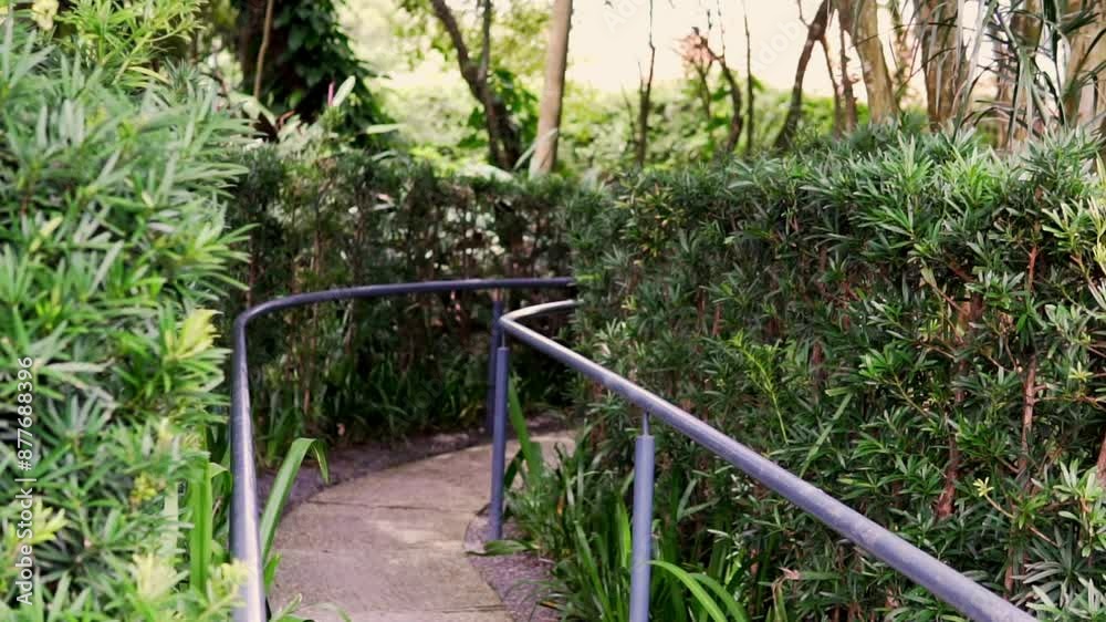 A path in a public park surrounded by vegetation and trees on the sides, the path shows a direction that is lost in the bushes. A path in a public park surrounded by vegetation and trees on the sides, the path shows a direction that is lost in the bushes.