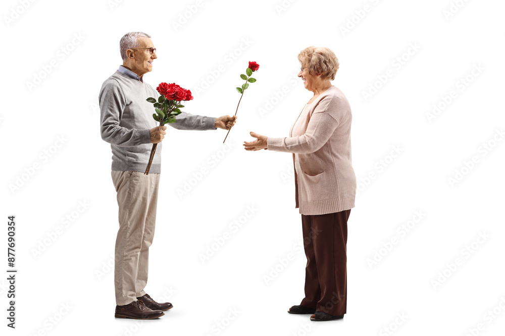 Full length profile shot of an elderly man giving a red rose to a senior woman Full length profile shot of an elderly man giving a red rose to a senior woman