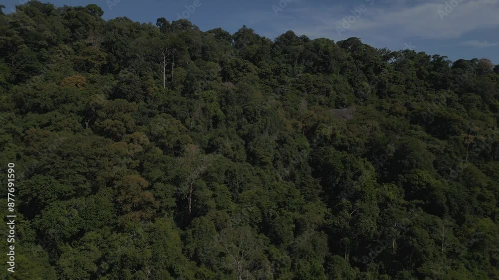 Lush jungle canopy, mountain peaks in langkawi. Great aerial view flight drone Lush jungle canopy, mountain peaks in langkawi. Great aerial view flight drone