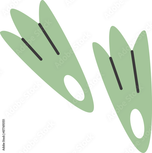 Flippers Diving Accessory