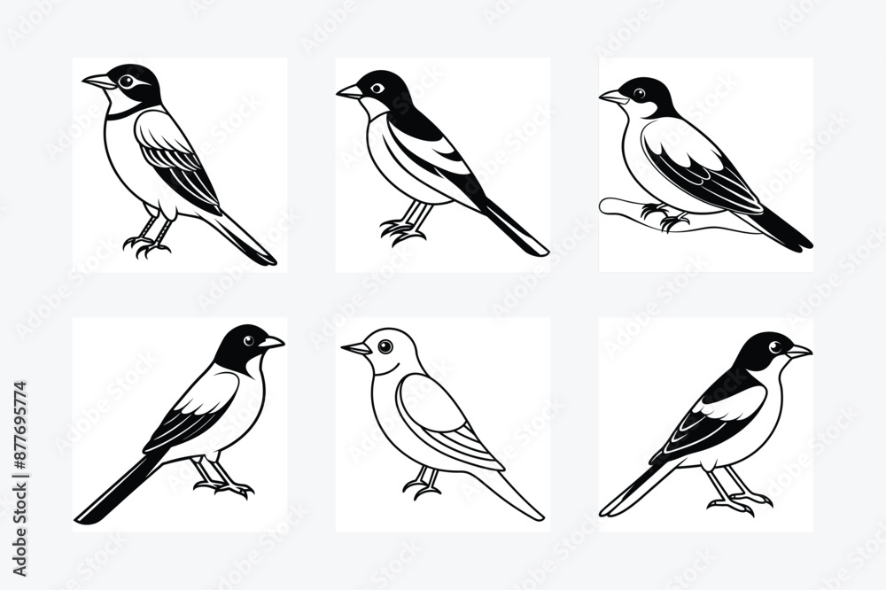 Fototapeta premium Solid color Eastern Kingbird animal vector design