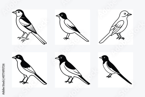 Solid color Eastern Kingbird animal vector design