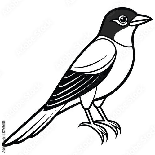 Solid color Eastern Kingbird animal vector design