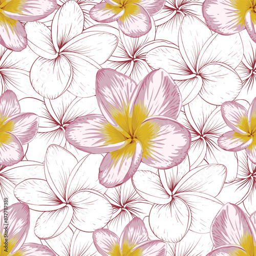 Seamless pattern vintage with frangipani flowers background.Vector illustration hand drawing. Fabric pattern print design.