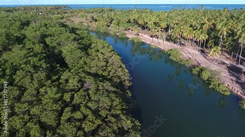Aerial view of Tatuamunha River, São Miguel dos Milagres, Alagoas, Brazil photo