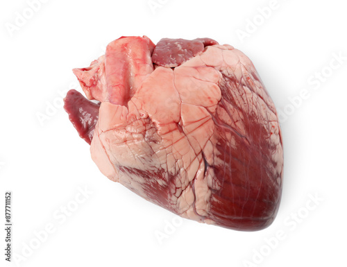One raw pork heart isolated on white, top view