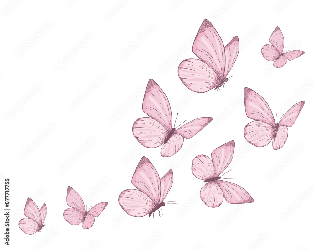 Foto Butterfly collection