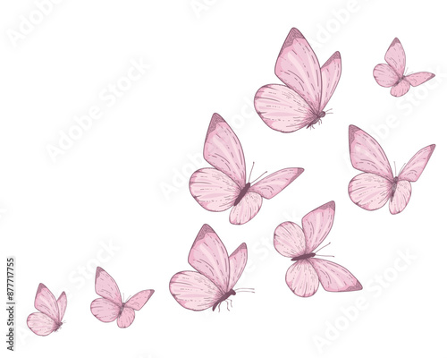 Canvas Print Butterfly collection