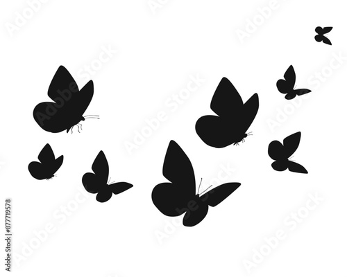 Black butterfly silhouettes. Outline butterflies romantic tattoo, tropical insects stencil. Summer and spring exotic symbols isolated vector set. Elegant wild flying moth of various shape