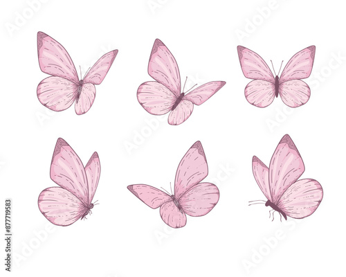 pink watercolor vector hand drawn design