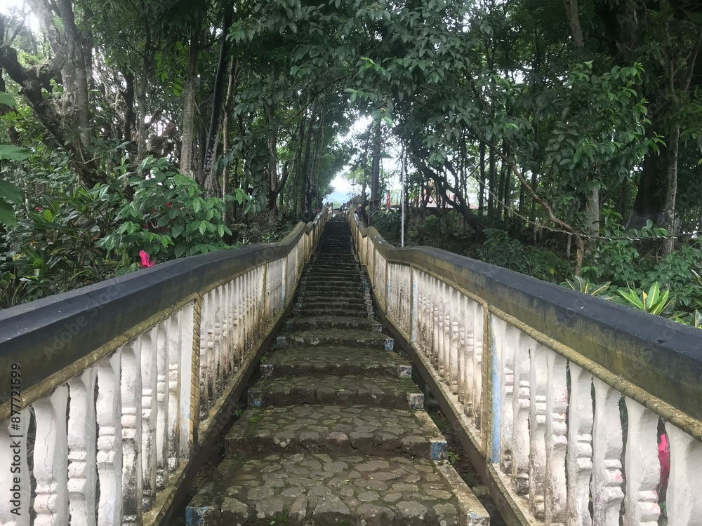 Fototapeta premium Forests or mountains or parks in Indonesia with ancient stair structures covered in moss due to cold or humid temperatures.