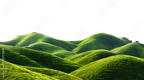 Panoramic green hills isolated on withe background.