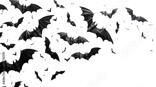 Halloween bat and bats on transparent background