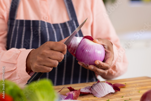 Chopping red onion, person preparing ingredients for cooking in kitchen