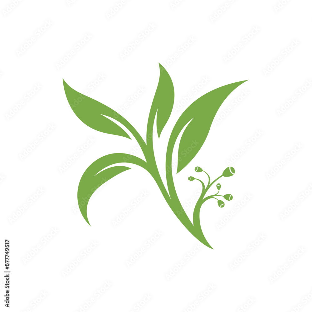 Eucalyptus leaves floral logo vector template Eucalyptus leaves floral logo vector template