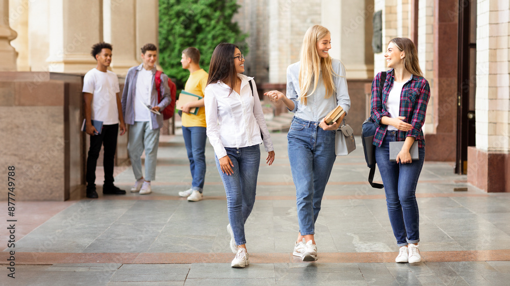 Obraz premium University life. Girls walking after classes and chatting during break outdoors