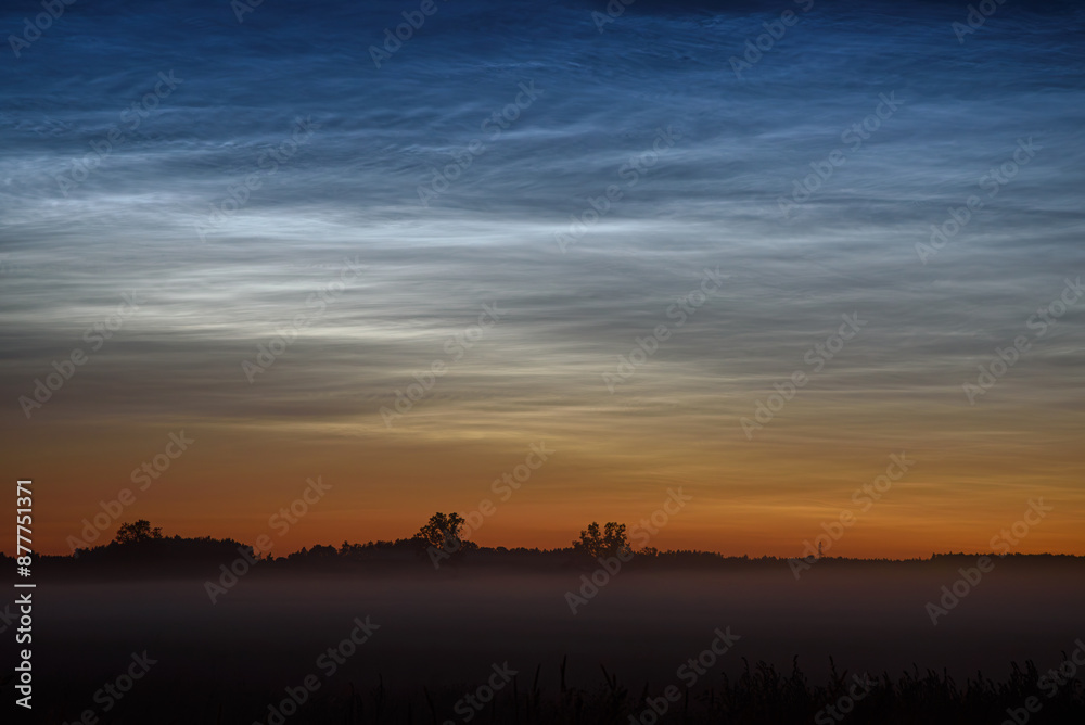 silver clouds in the meadow at night with fog in the field silver clouds in the meadow at night with fog in the field