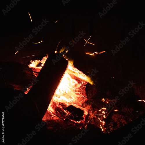 campfire in the forest photo