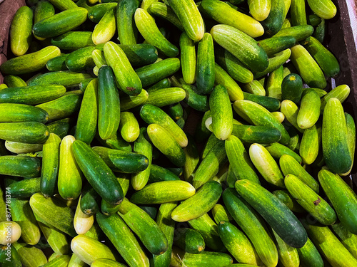 fresh vegetables sold in the market photo