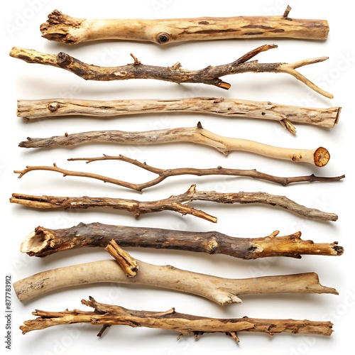 Set of dry wood branches, dry tree branch isolated on a white background. © nilawan