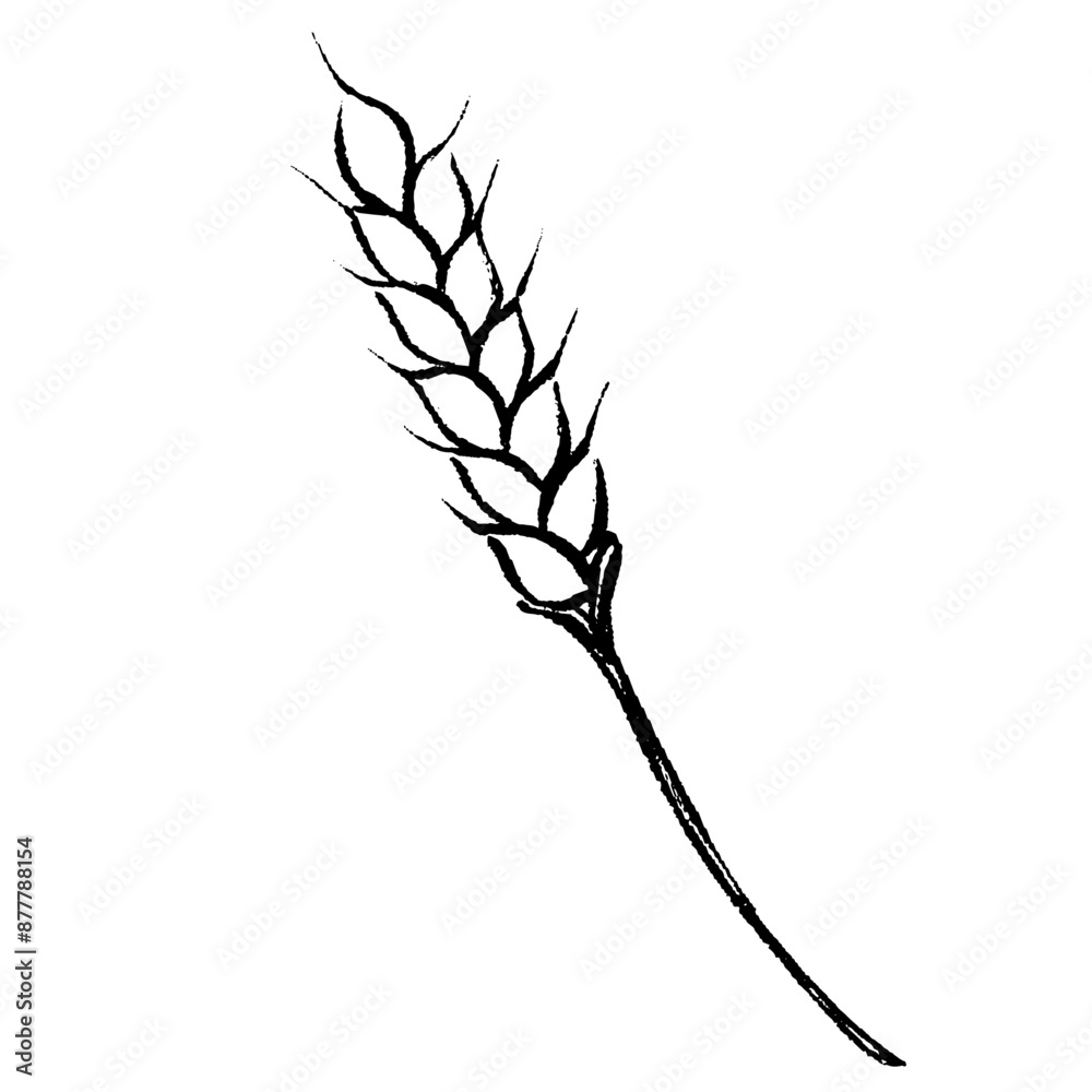 Obraz premium 筆タッチの小麦の線画イラスト