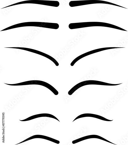Eyebrow shapes. Various types of eyebrows.