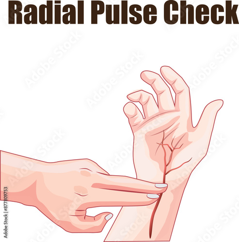 radial pulse check on the hand illustration