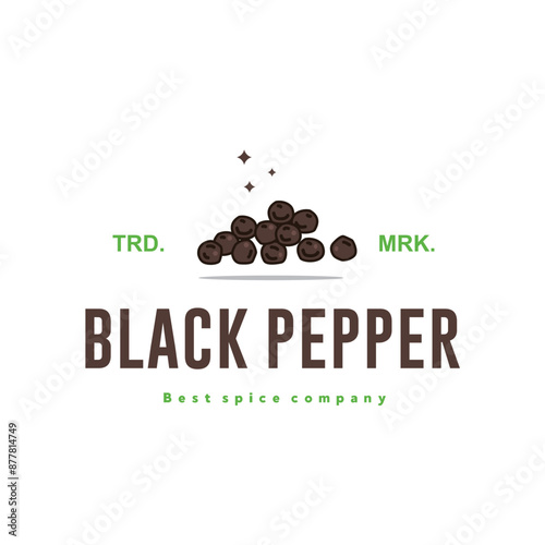 illustration of the black pepper spice logo icon, kitchen spice for the cooking industry