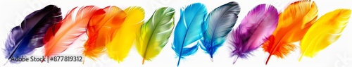 Abstract colorful feathers isolated on white canvas, unique elegance, symbol of natural beauty and simplicity photo