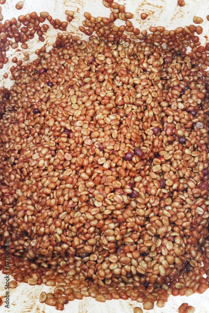 Coffee beans,In the ferment and wash method of wet processing Coffee beans,In the ferment and wash method of wet processing