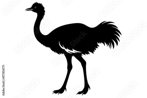 Ostrich silhouette vector, ostrich emu bird vector illustration
