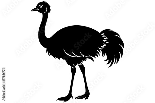 Ostrich silhouette vector, ostrich emu bird vector illustration
