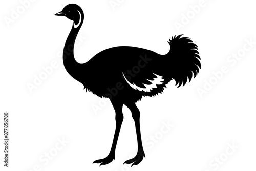 Ostrich silhouette vector, ostrich emu bird vector illustration
