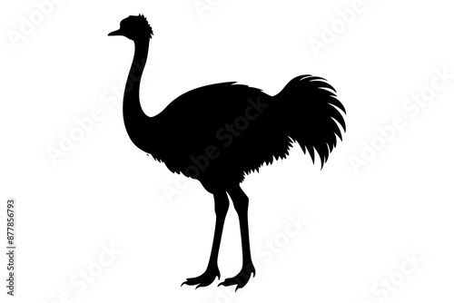 Ostrich silhouette vector, ostrich emu bird vector illustration
