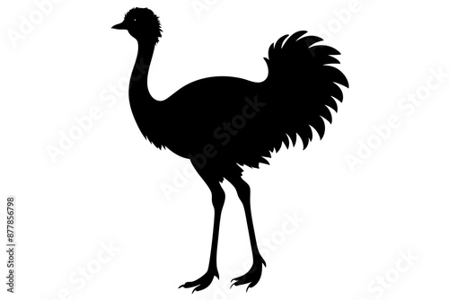 Ostrich silhouette vector, ostrich emu bird vector illustration
