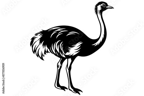 Ostrich silhouette vector, ostrich emu bird vector illustration
