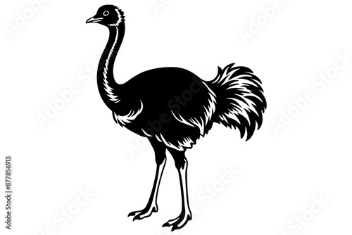 Ostrich silhouette vector, ostrich emu bird vector illustration
