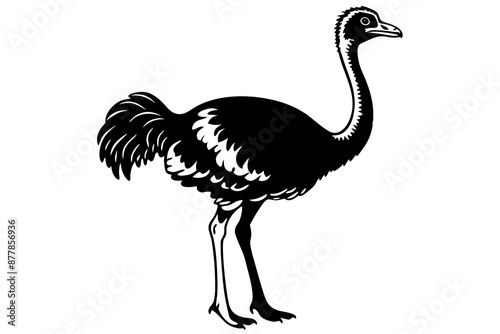 Ostrich silhouette vector, ostrich emu bird vector illustration
