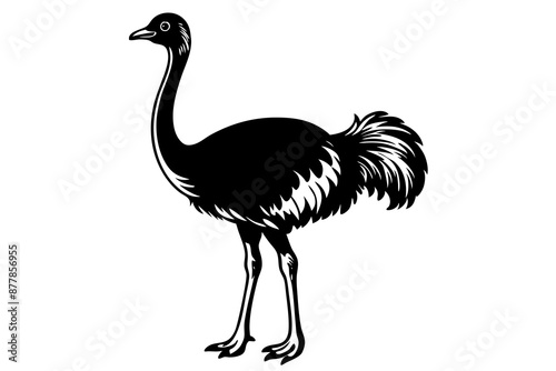 Ostrich silhouette vector, ostrich emu bird vector illustration
