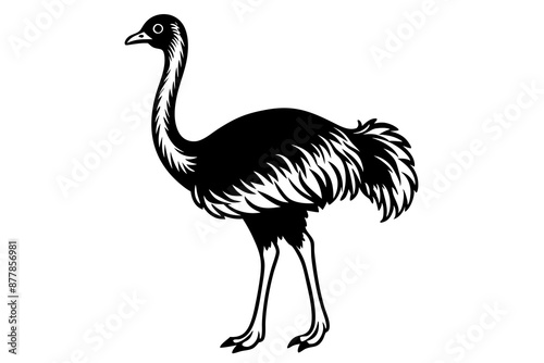 Ostrich silhouette vector, ostrich emu bird vector illustration
