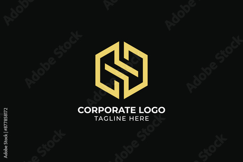 initial letter S Z hexagon shield Universal elegant vector emblem Premium business logotype, letter DD CC gym fitness logo
