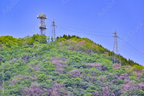 山梨県上野原市権現山