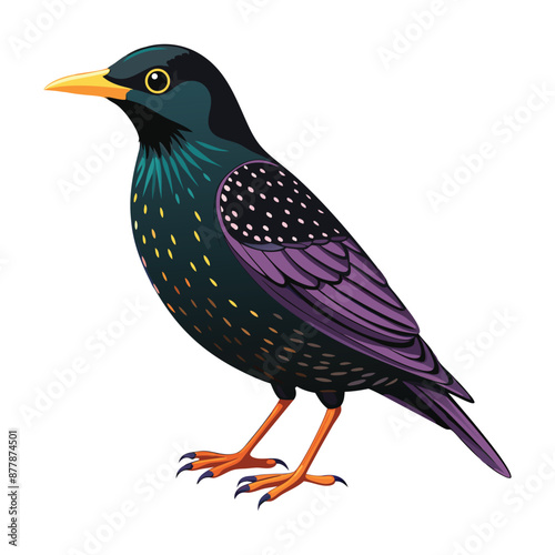 Εκτύπωση καμβά Illustration of European starling Isolated