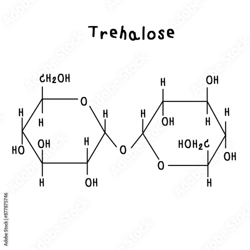 Molecular structure of Trehalose illustration photo