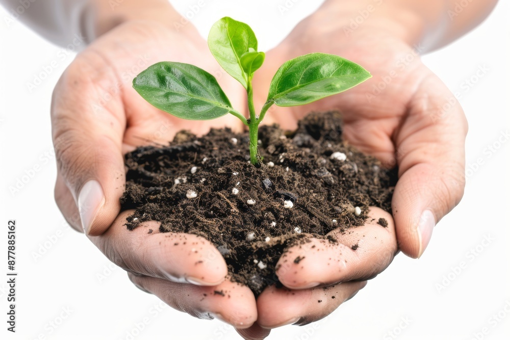 Close-up of nurturing hands holding a small green plant seedling in fertile soil. Healing and growth concept. Perfect for environmental, sustainability or agricultural themes. Generative AI Close-up of nurturing hands holding a small green plant seedling in fertile soil. Healing and growth concept. Perfect for environmental, sustainability or agricultural themes. Generative AI