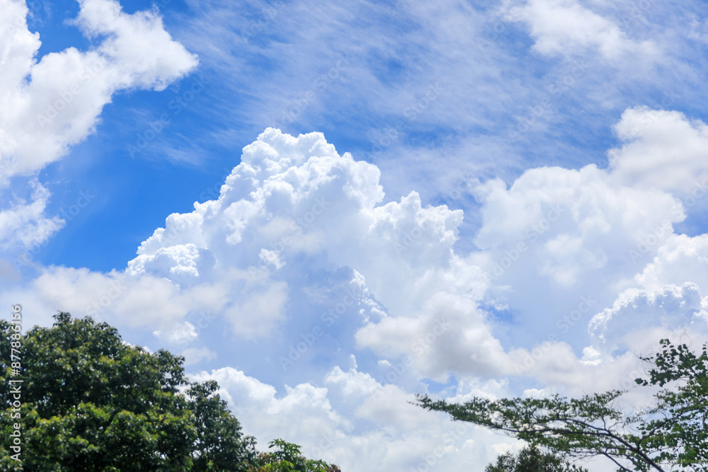 Obraz premium Majestic Cloudscape with Trees and Modern Structures.